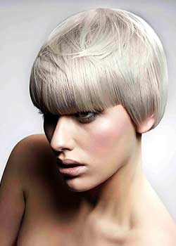 © THE WESTROW ARTISTIC TEAM HAIR COLLECTION