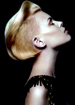 © DALE HERVE and ISABELLA HYDE HAIR COLLECTION